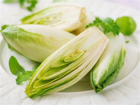 Chicory Vs Endive Are Chicory And Endive The Same Gardening Know How