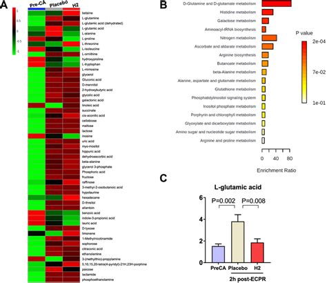 Metabolomic Analysis A Heat Map Comparisons Of Differential Metabolite