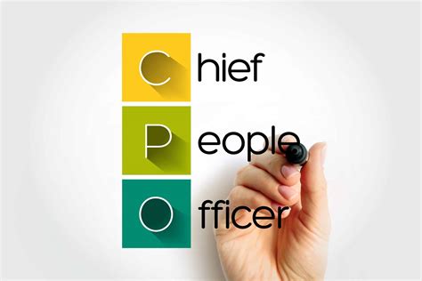 Fractional Chro Cpo Consulting Firm Hr Soul