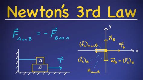 Newton’s 3rd Law [basics And Free Body Diagrams] Youtube