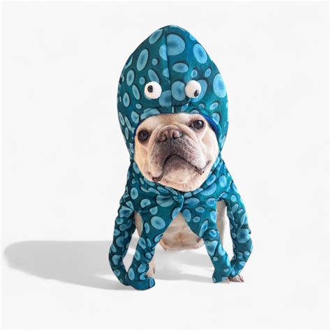 Frenchie Costumes for Halloween & Daily Dress-Up