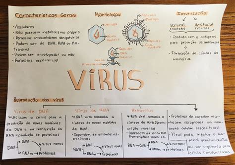 Resumo Mapa mental de Vírus Biologia Mapa mental Aula de ciências