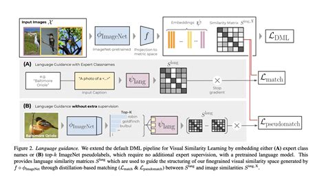 Deep Metric Learning Tutorial The Basics Reason Town Hot Sex Picture