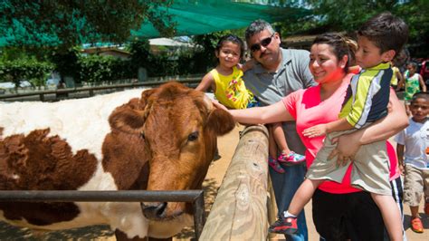 15 Best Attractions For Families In Houston Mommy Nearest