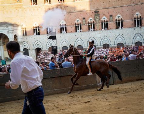 Palio La Contrada Della Lupa Vince La Prima Prova Siena News