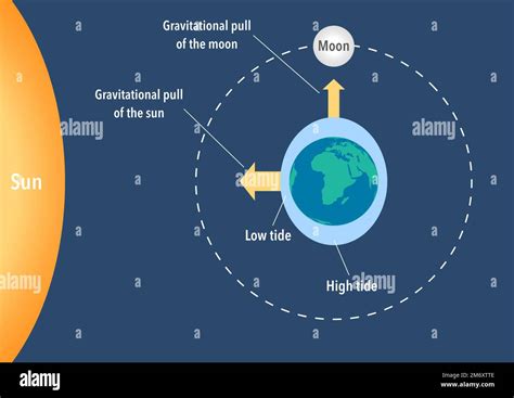 Gravitational Pull Of Earth