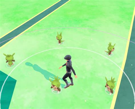 【ポケモンgo】コミュニティ・デイで色違いハリマロンをget！コミュデイ後にポケストップからカクレオンが初登場・・・ Momo Blog