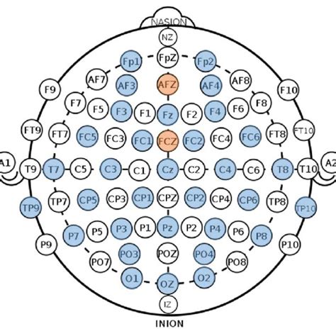 Eeg Electrode Setup Blue Electrodes Are Recording Locations Orange