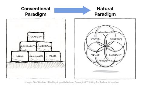 Why Shift To Your Natural Paradigm Wild Hazel