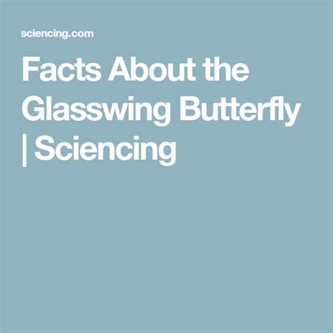 Facts About the Glasswing Butterfly | Sciencing Tropical Region, Facts, Butterfly, Words ...