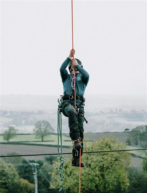 Tree Surgery Service Tree Surgeon Sheffield