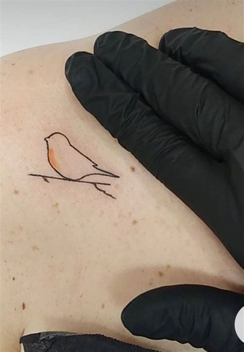 Pin De Elise Dix En Robin Tattoo Tatuaje Robin Tatuajes Diminutos De