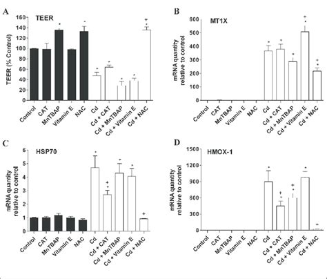 Protective Effect Of Antioxidants On CdCl 2 Induced Damage To The