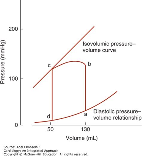 Patho Cardio Study Diagram Quizlet