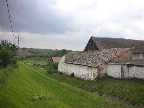 Larry and Larna's BEEG Adventure: Greetings from the Hungarian countryside