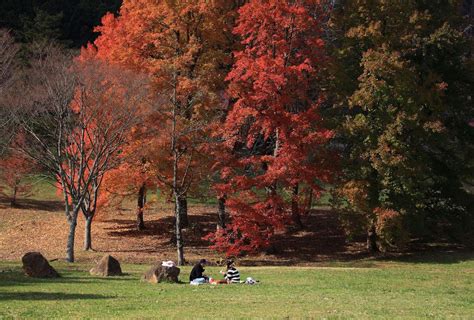 紅葉の美しい公園：舞鶴自然文化園（京都府舞鶴市） Parkful公園をもっと身近に、もっと楽しく。