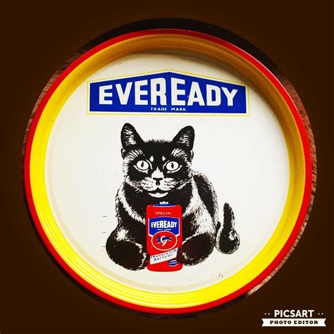 Cat Eveready Logo Atelier Yuwaciaojp