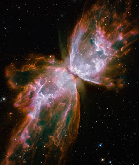 1332938245404 butterfly nebula - ZWZ Picture