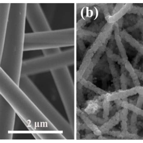 Sem Images Of As Prepared Samples A Precursor Zno Nfs And B Zno