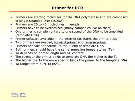 PPT - Principle of PCR PowerPoint Presentation, free download - ID:5708301