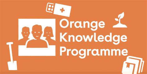 Orange Knowledge Programme For International Students Netherlands