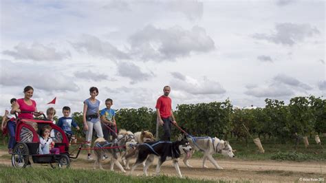 Cani Randonn E Avec Husky Dream La Loire V Lo