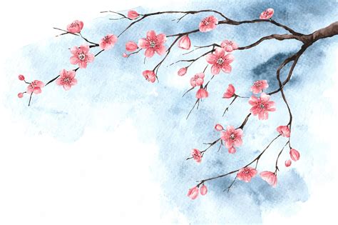 Cherry Blossom Painting Wallpapers Wallpaper Cave