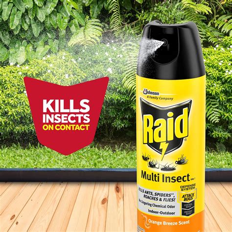 Buy Raid Multi Insect Killer Kills Ants Spiders Roaches And Flies For Indoor And Outdoor Use