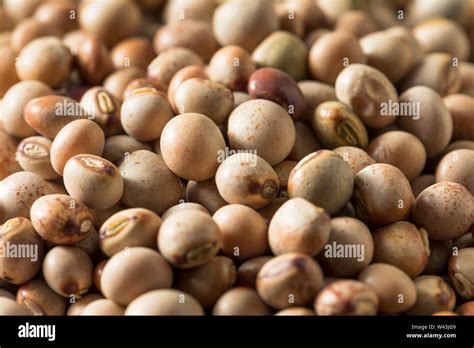 Toor Dal Pigeon Pea Hi Res Stock Photography And Images Alamy