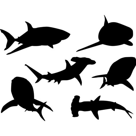 Free Shark Images Free, Download Free Shark Images Free png images ...