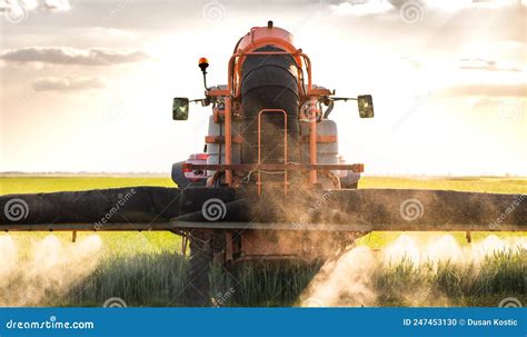 Campo De Trigo De Plaguicidas Para Rociado Con Tractores Foto De