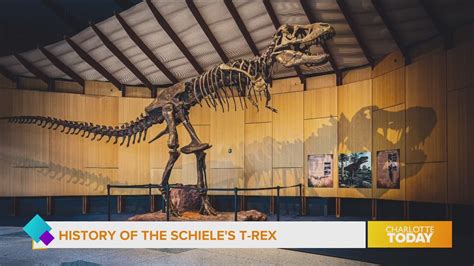 The T Rex Exhibit Is Getting An Update Wcnc