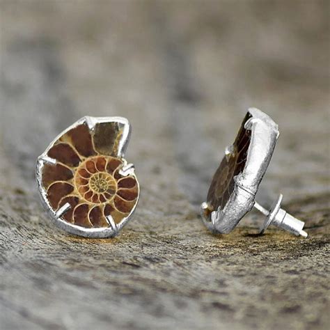 Ammonite Jewelry - Etsy