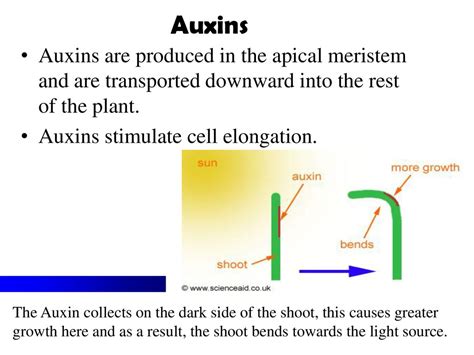 Behavioral Adaptations and Communication - ppt download