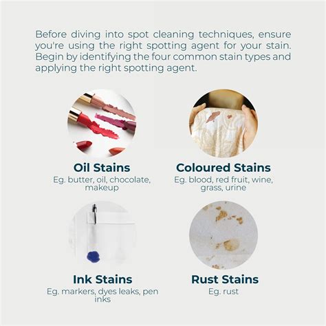 Mastering Stain Spot Cleaning Techniques | PDF