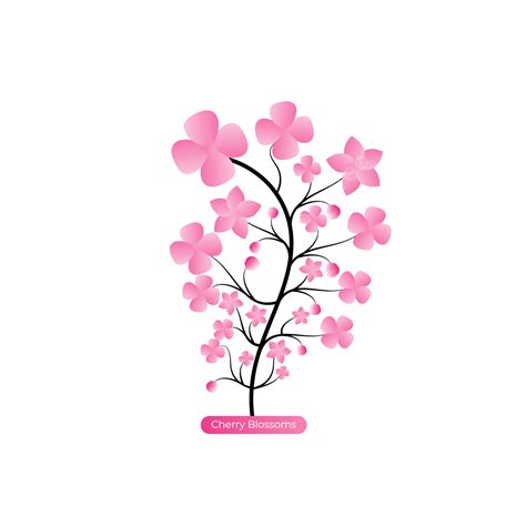 Cherry Blossom Card Vector Art Png Cherry Blossoms Design With Vector