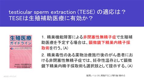 「無精子症」 津田沼ivfクリニック Tsudanuma Ivf Clinicのブログ