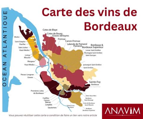 Carte Des Vins De Bordeaux Et Explication Des Appellations Anavim