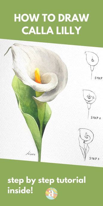 Flower Drawing Easy Tutorials For Beginners To Draw Artofit