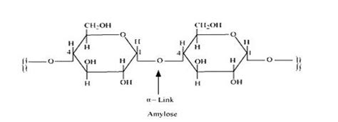 Difference Between Starch And Cellulose Overview Questions Easy