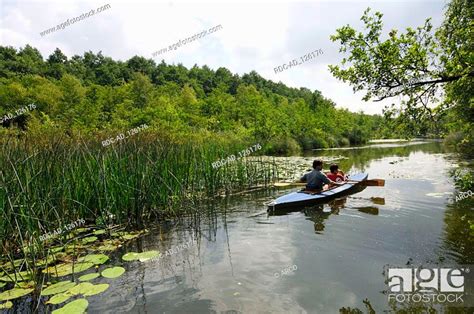 Canoe On Lake Bruckentin Natural Preserve Feldberger Seenlandschaft