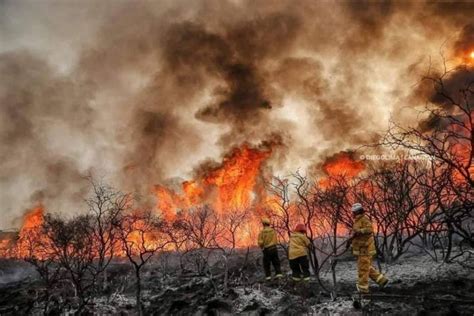 Córdoba Combaten Dos Focos De Incendios Forestales