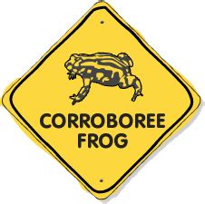 Life Cycle – Corroboree Frog