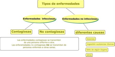 Las Enfermedades Todos Los Tipos De Enfermedades