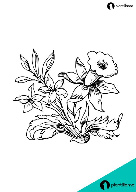 Dibujos De Flores Para Colorear Plantillas A Descargar Gratis