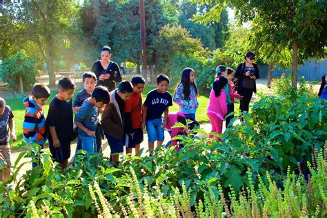 Seasonal Gatherings & Educational Farm Tours – Vista Ranch