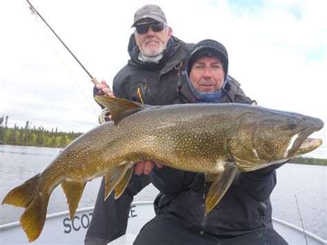 Trophy Northern Pike And Lake Trout On Fly Rod