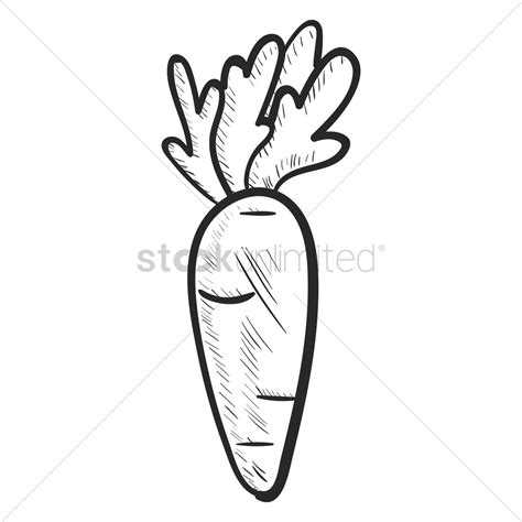 Carrot Line Drawing at GetDrawings | Free download