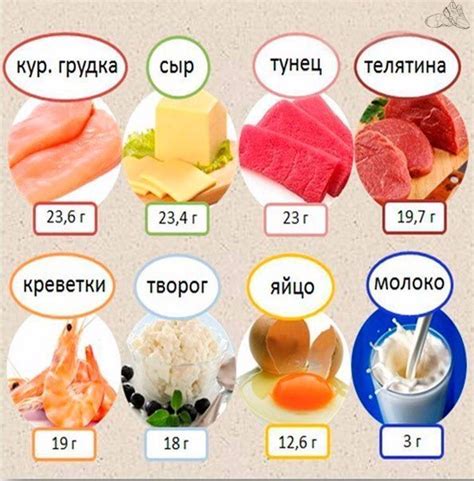 Сколько грамм белка нужно в день - советы экспертов - Ольга Усачева