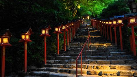 貴船神社 七夕笹飾りライトアップ 幻想的な灯りと青もみじ 京都もよう Kyoto Moyou